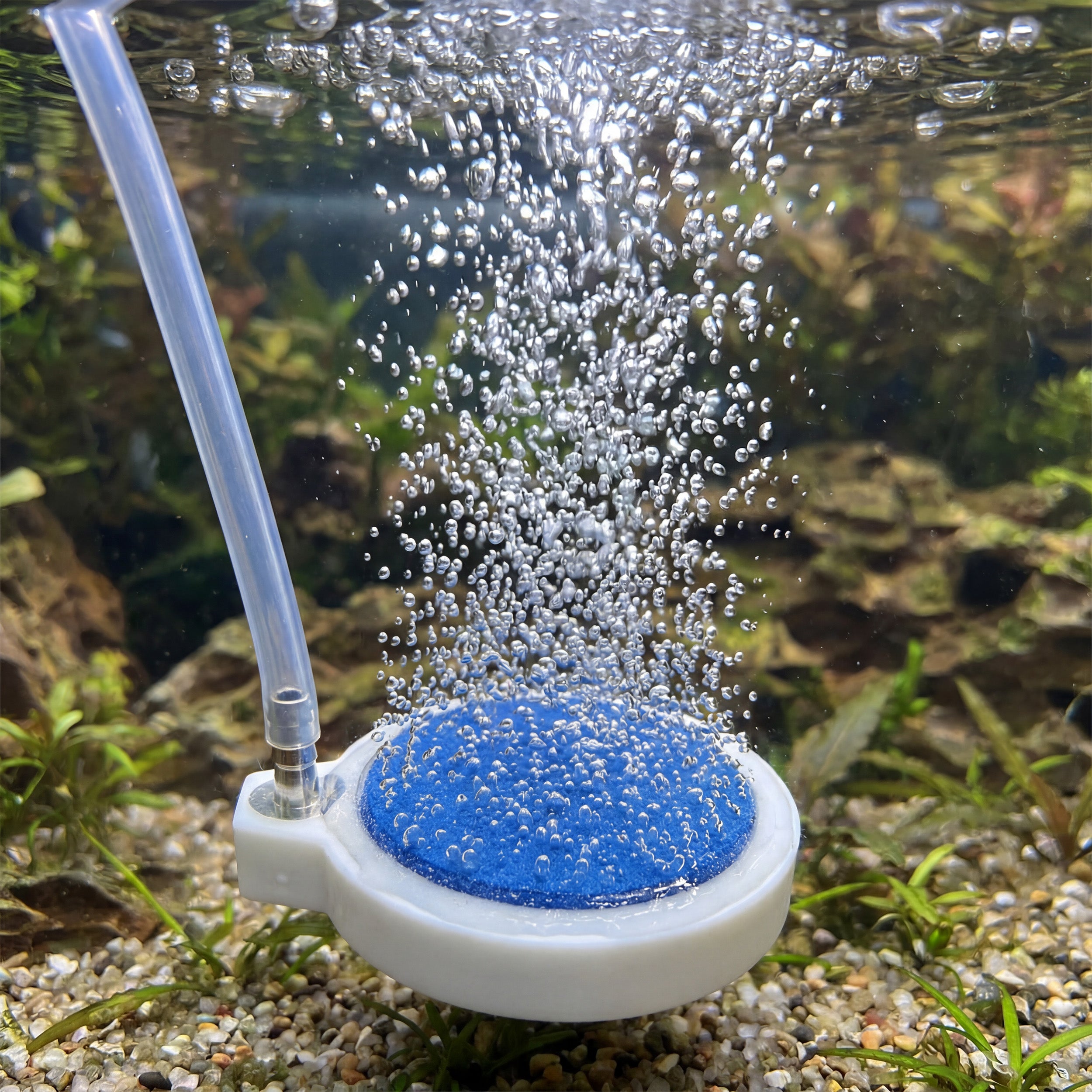 The ENGEL 2" Live Bait Aerator Stone releases bubbles underwater through a clear tube with plants and gravel visible—perfect as a bubble diffuser for your aquarium or live bait well.