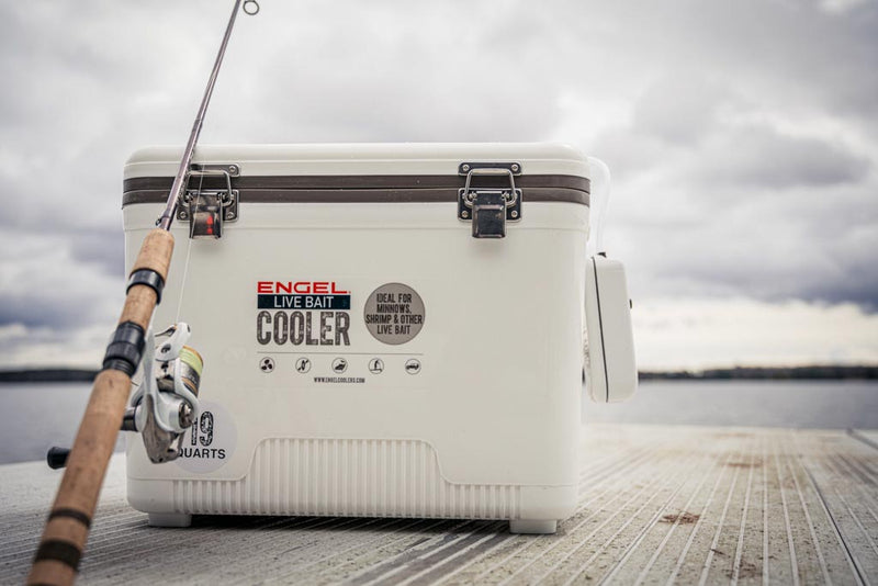 The Success of Your Next Fishing Trip can Hinge On Live Bait Cooler