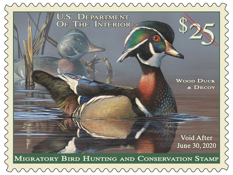Duck Stamps and How Hunters Drive Conservation Efforts in the U.S.