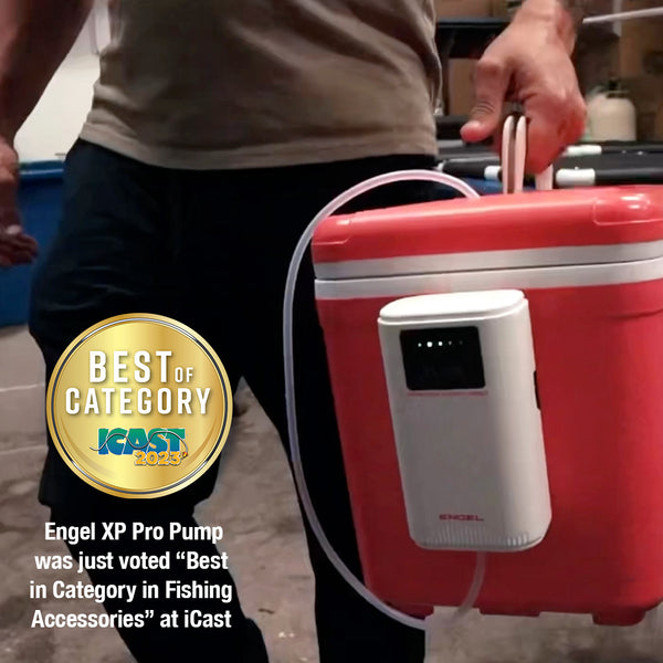 Engel Coolers Wins at iCast 2023!