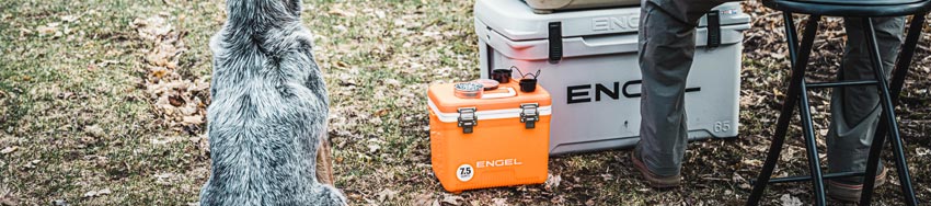 A dog sitting beside a cooler on a lawn.